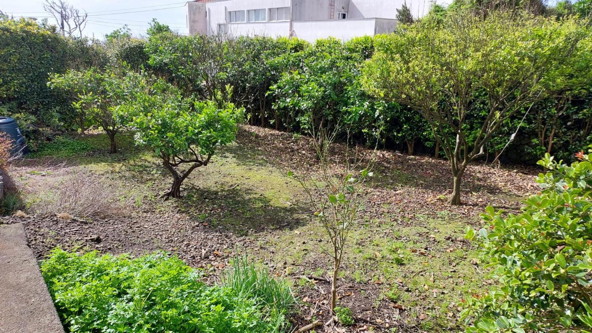 Retiro Das Camelias 1 Lajes das Flores Luaran gambar