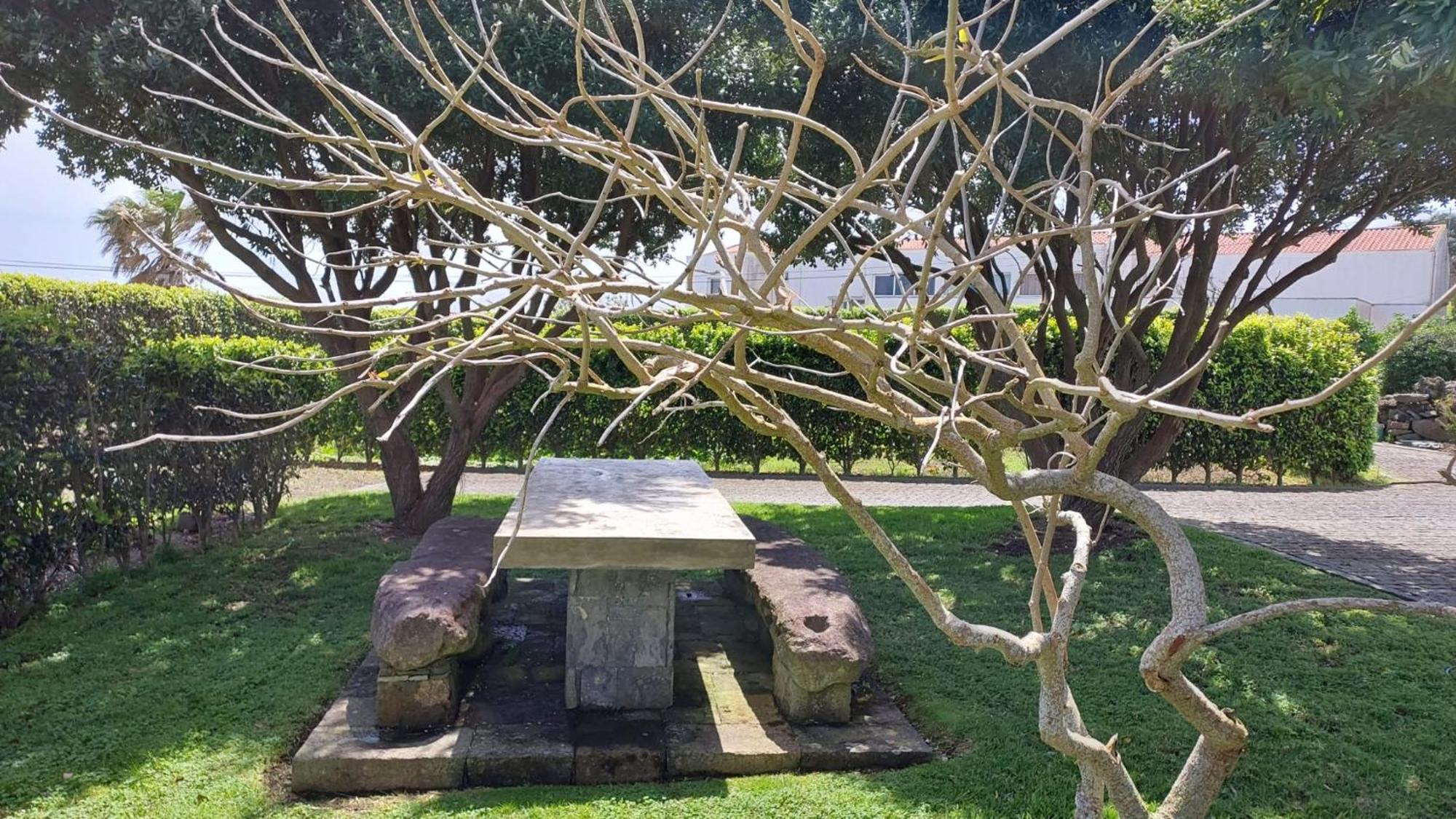 Retiro Das Camelias 1 Lajes das Flores Luaran gambar
